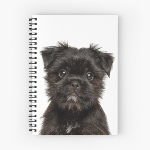 Item preview, Adorable Affenpinscher puppy for Cute Affie puppy lovers designed and sold by LazyOwlStore.
