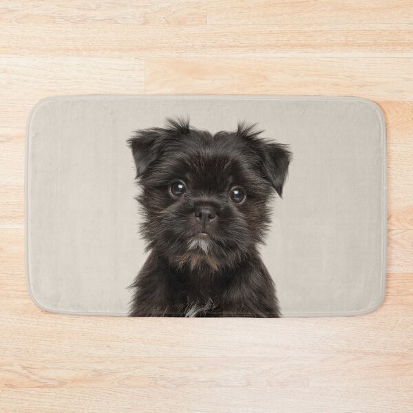 Item preview, Adorable Affenpinscher puppy for Cute Affie puppy lovers designed and sold by LazyOwlStore.