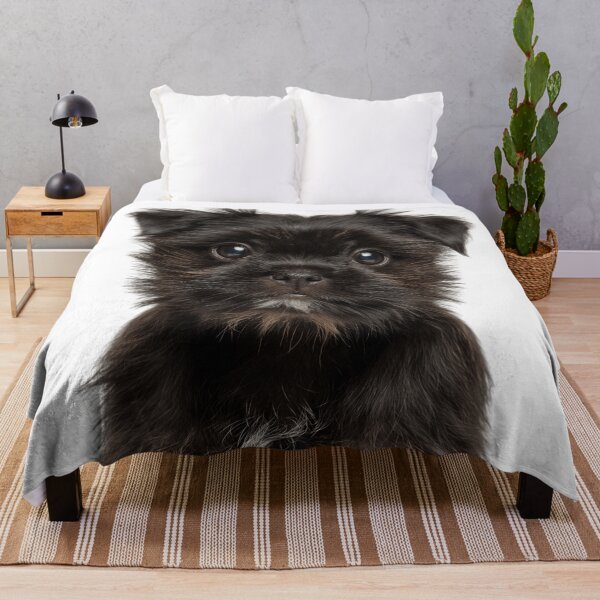 Item preview, Adorable Affenpinscher puppy for Cute Affie puppy lovers designed and sold by LazyOwlStore.