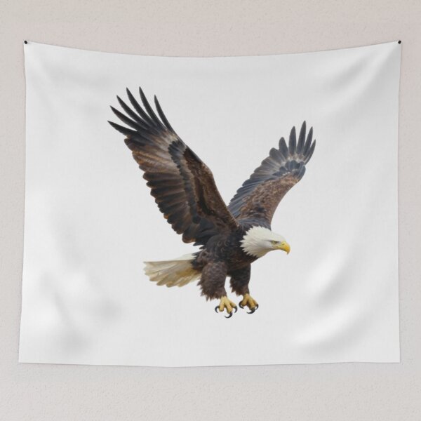 Item preview, Soaring Eagle Flight Silhouette designed and sold by RandomWalker.