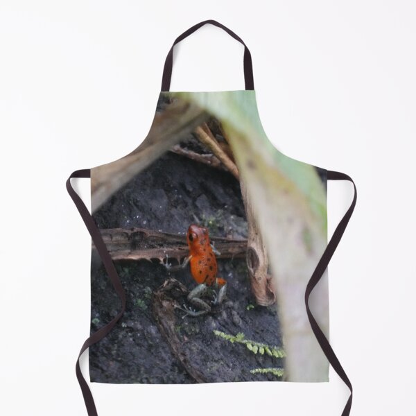 Item preview, Tiny Red Tree Frog designed and sold by Malcolm Snook.