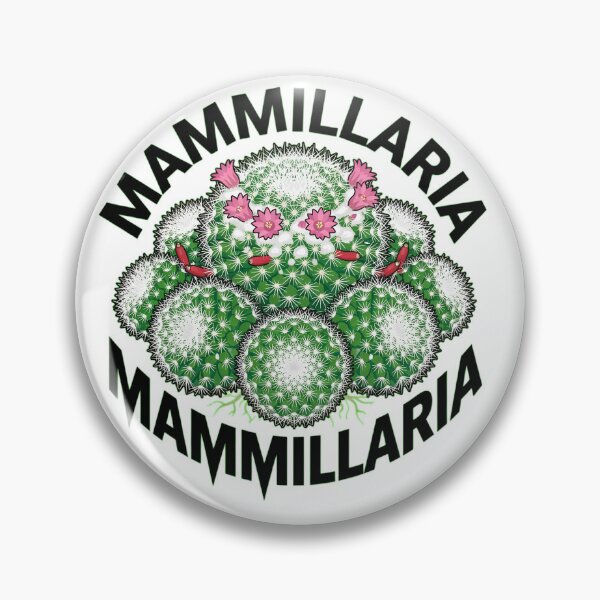 Item preview, Mammillaria Glassii Cactus Bold Vector Sticker Art designed and sold by GreenDivisionJP.