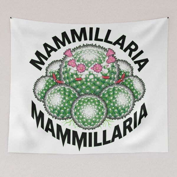 Item preview, Mammillaria Glassii Cactus Bold Vector Sticker Art designed and sold by GreenDivisionJP.