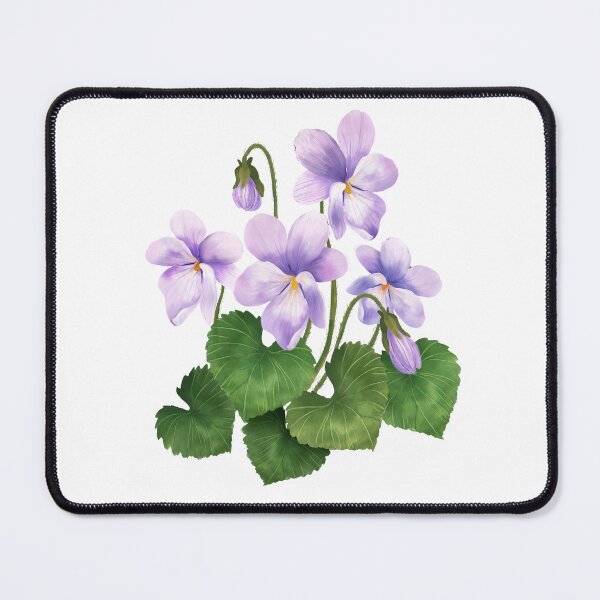 Item preview, Australian Native Violet (Viola banksii) designed and sold by PAPERPLAN.