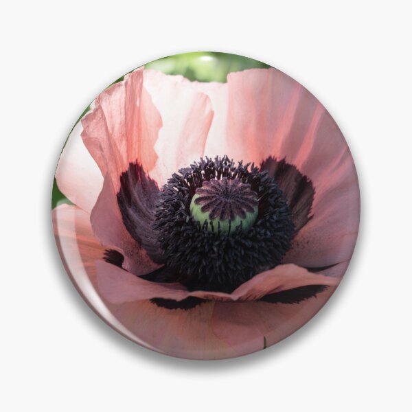 Item preview, Radiant Pink Oriental Poppy in Bloom designed and sold by Georgia Mizuleva.