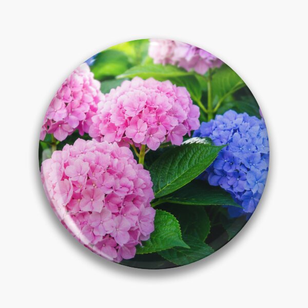 Item preview, Hydrangeas designed and sold by Tiny-Love ⭐⭐⭐⭐⭐.