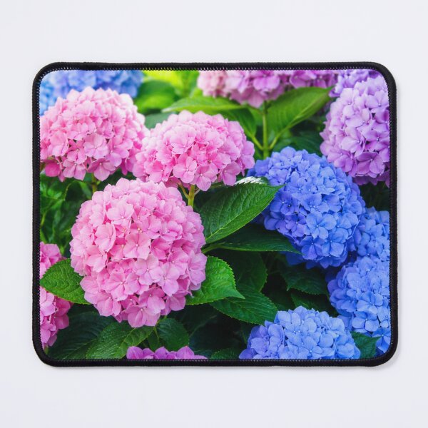 Item preview, Hydrangeas designed and sold by Tiny-Love ⭐⭐⭐⭐⭐.