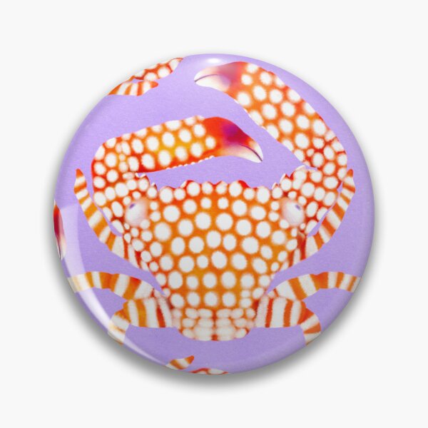 Item preview, Saltwater Society | Red-spotted trapeze crab pattern designed and sold by prntsystm.