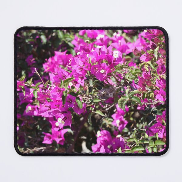 Item preview, A dream in pink designed and sold by Alfi1980.