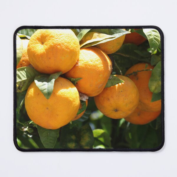 Item preview, Full of oranges designed and sold by Alfi1980.