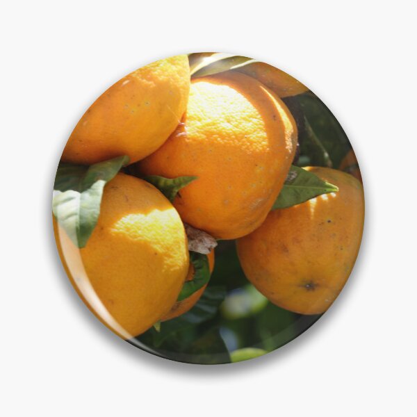 Item preview, Full of oranges designed and sold by Alfi1980.