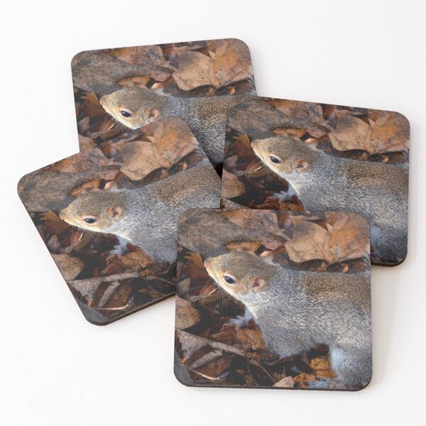 Item preview, Picture of a squirrel in London designed and sold by Elle Willers.