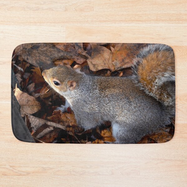 Item preview, Picture of a squirrel in London designed and sold by Elle Willers.