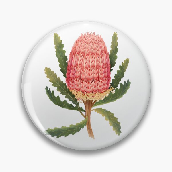 Item preview, Banksia (Banksia integrifolia) Australian Native Wildflower designed and sold by PAPERPLAN.