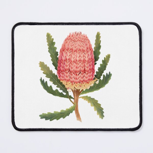 Item preview, Banksia (Banksia integrifolia) Australian Native Wildflower designed and sold by PAPERPLAN.