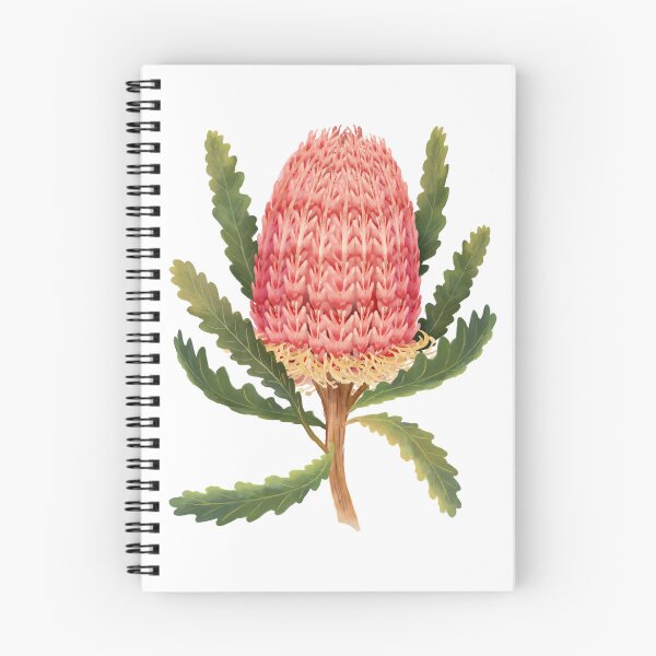 Item preview, Banksia (Banksia integrifolia) Australian Native Wildflower designed and sold by PAPERPLAN.