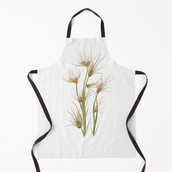 Item preview, Kangaroo Grass (Themeda Triandra) Australian Native Plant designed and sold by PAPERPLAN.