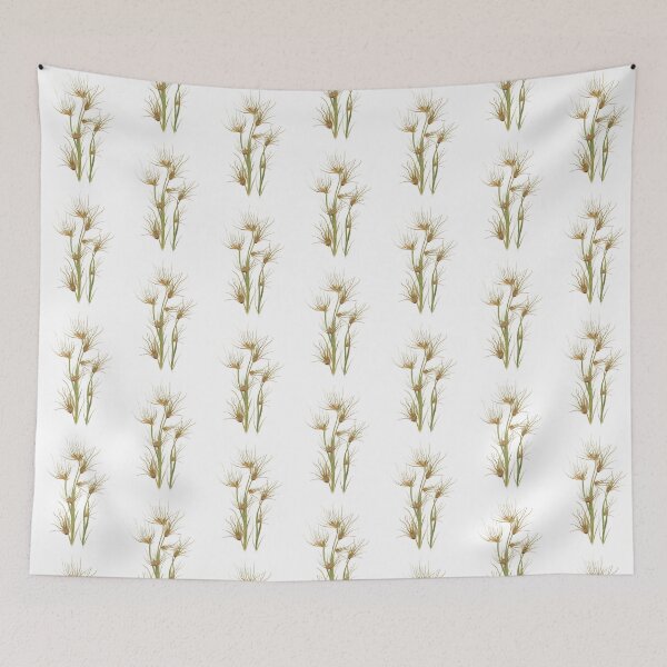 Item preview, Kangaroo Grass (Themeda Triandra) Australian Native Plant designed and sold by PAPERPLAN.