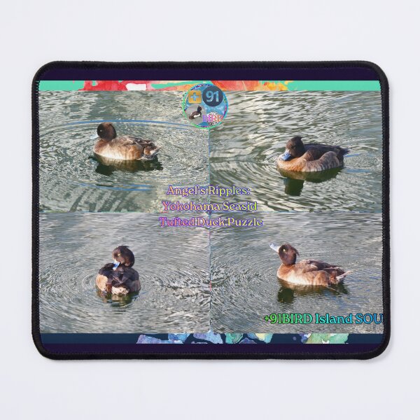 Item preview, Angel's Ripples: Yokohama Seaside Tufted Duck Premium Puzzle designed and sold by Plus91BIRD.