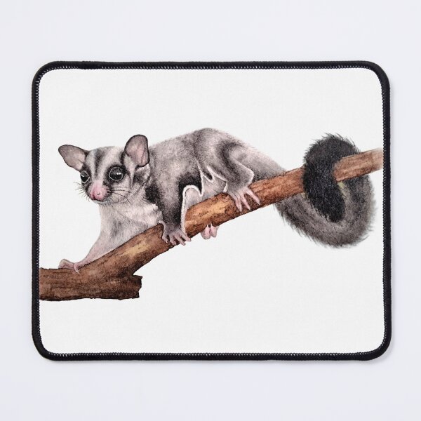 Item preview, Watercolor sugar glider designed and sold by art-by-len.
