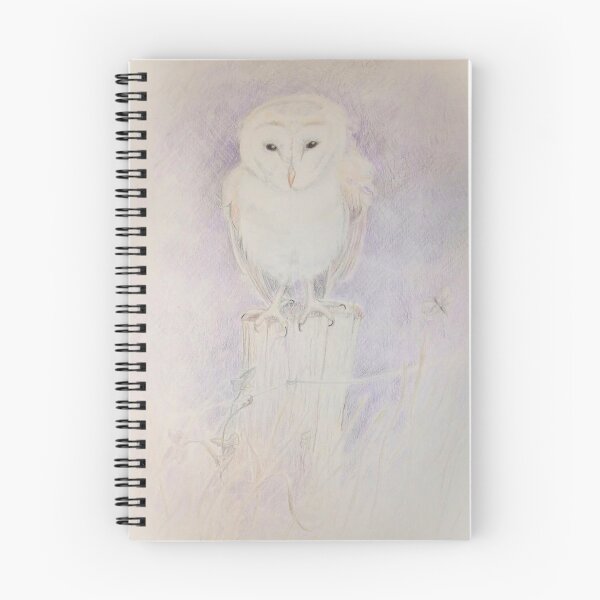 Item preview, Owl and Moth - soft pencilwork designed and sold by LittleLiz.