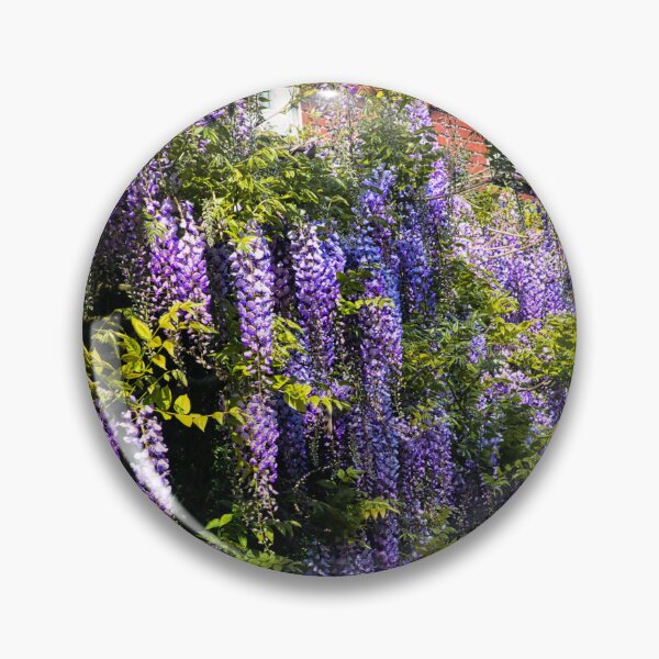 Item preview, Flowering Wisteria designed and sold by JEZ22.