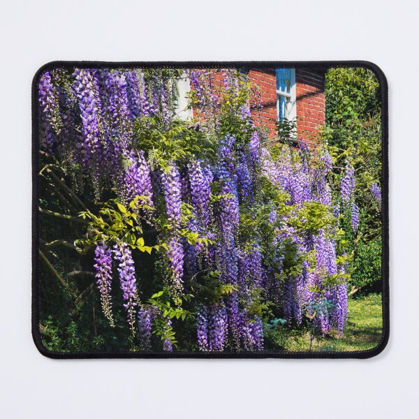 Item preview, Flowering Wisteria designed and sold by JEZ22.