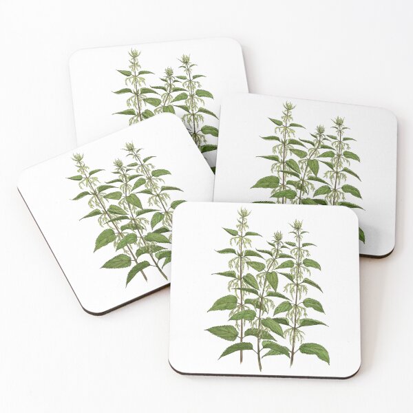 Item preview, Nettle Urtica dioica watercolor designed and sold by HoldasGarten.