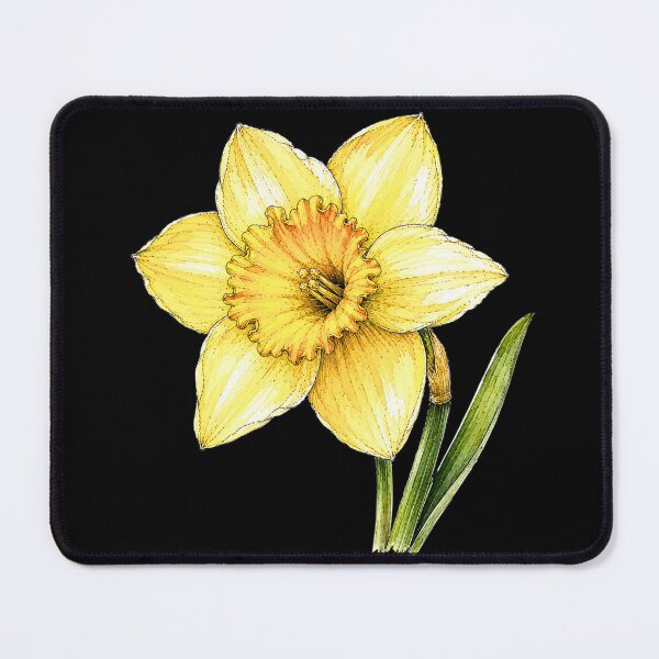 Item preview, Yellow Daffodil Illustration | Spring Watercolor Botanical Flower Art designed and sold by ColorSplash123.