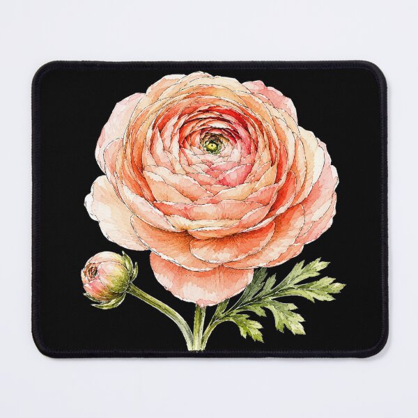 Item preview, Peach Ranunculus Illustration | Watercolor Botanical Flower Art designed and sold by ColorSplash123.