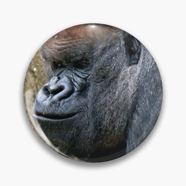Item preview, African Gorilla Ape Animal Portrait designed and sold by AndyEvansPhotos.