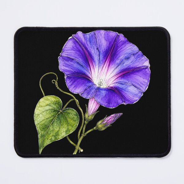 Item preview, Violet Morning Glory Illustration | Watercolor Botanical Flower Art designed and sold by ColorSplash123.
