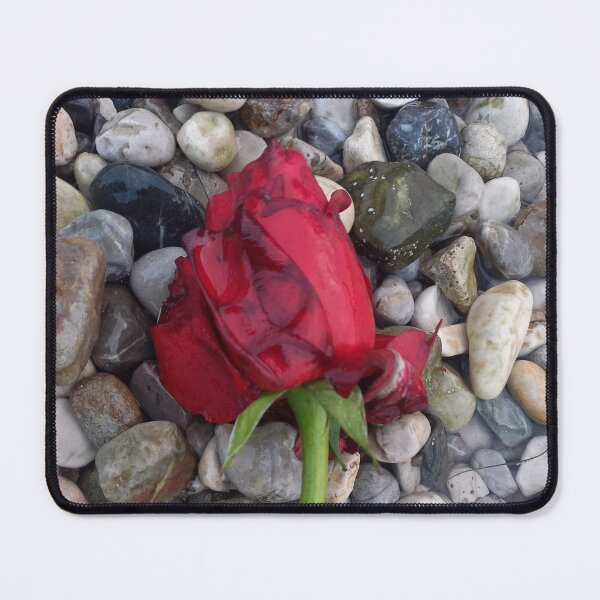 Item preview, Red Rose by the Sea Romantic Coastal Nature Photography designed and sold by AndaBast.
