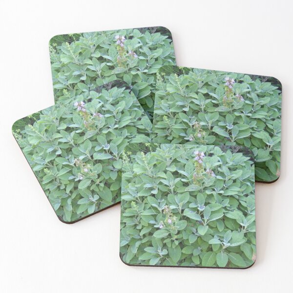 Item preview, Garden Sage designed and sold by kayeufriday.