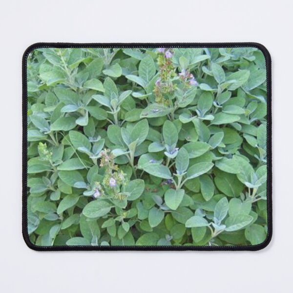 Item preview, Garden Sage designed and sold by kayeufriday.