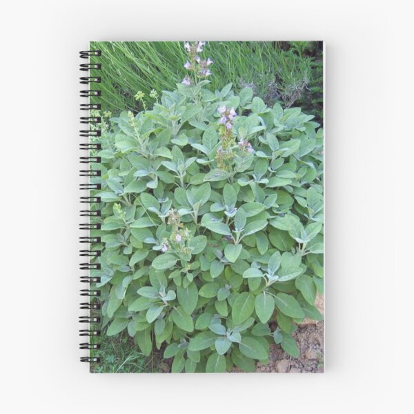 Item preview, Garden Sage designed and sold by kayeufriday.