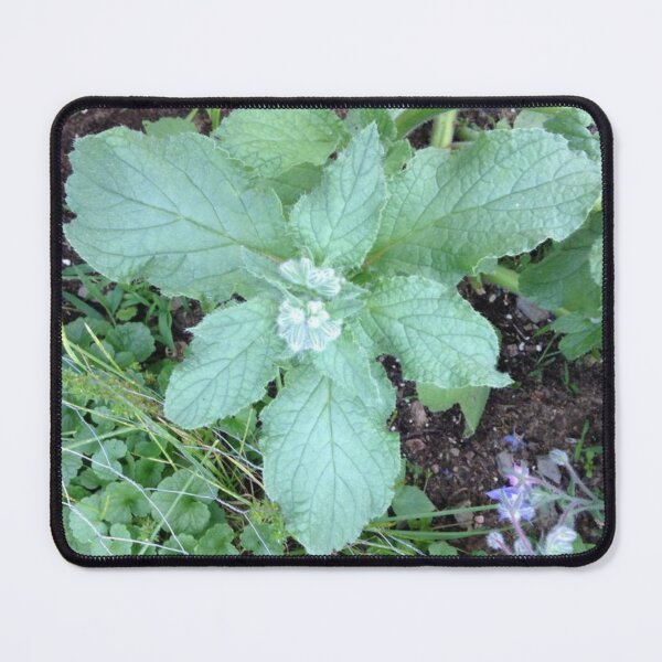 Item preview, Healing Leaves designed and sold by kayeufriday.