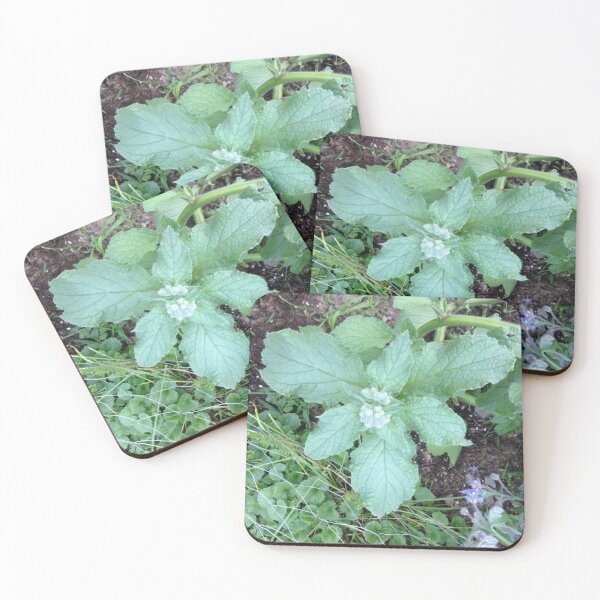 Item preview, Healing Leaves designed and sold by kayeufriday.