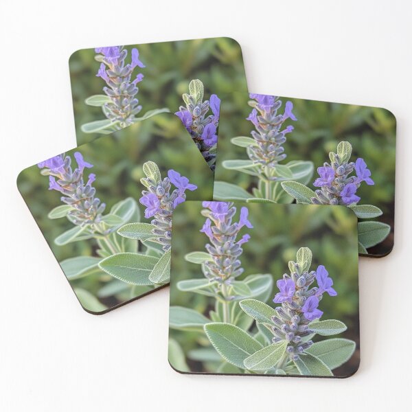 Item preview, Blue Vervain designed and sold by kayeufriday.