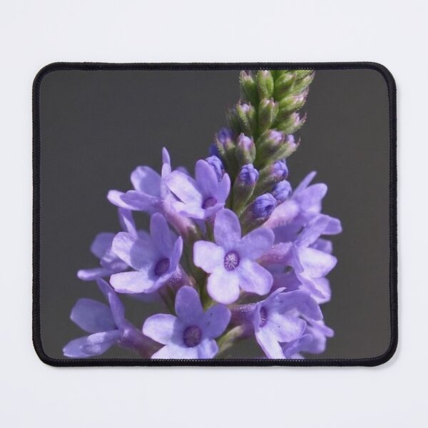 Item preview, Silver Sage designed and sold by kayeufriday.