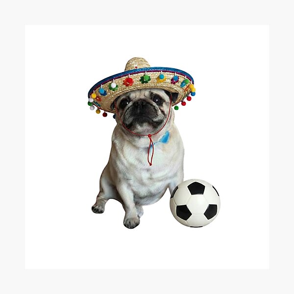 Item preview, Bud the Pug Football Fan Sticker | Real Pug Photo in Sombrero | Cute Dog Sticker designed and sold by Bud the Pug & Friends .