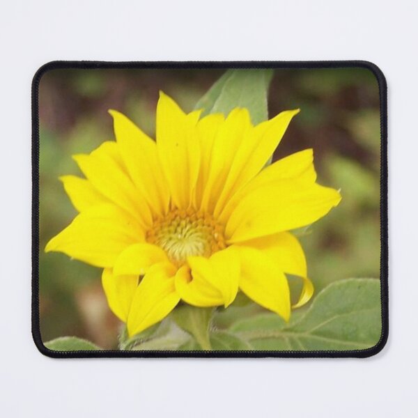 Item preview, Mini Rogue Sunflower designed and sold by DianeBP.