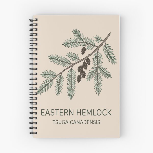 Item preview, Eastern Hemlock designed and sold by bihtti.