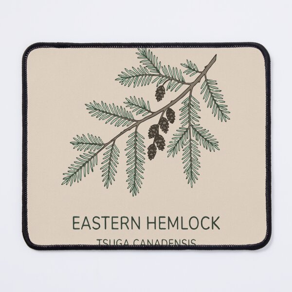Item preview, Eastern Hemlock designed and sold by bihtti.