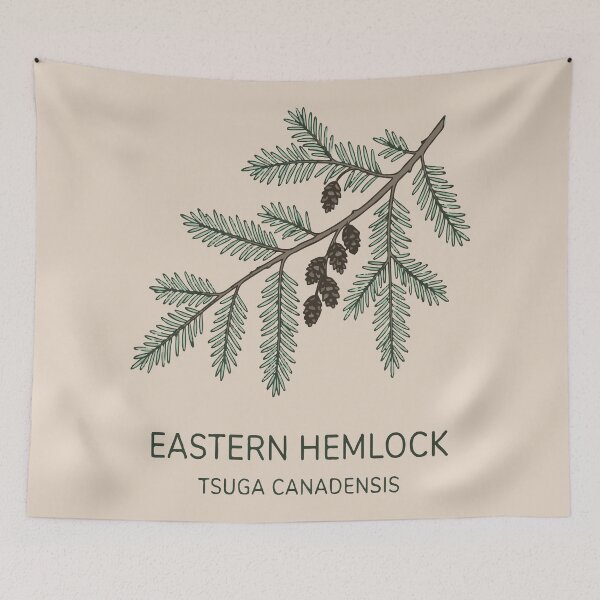 Item preview, Eastern Hemlock designed and sold by bihtti.