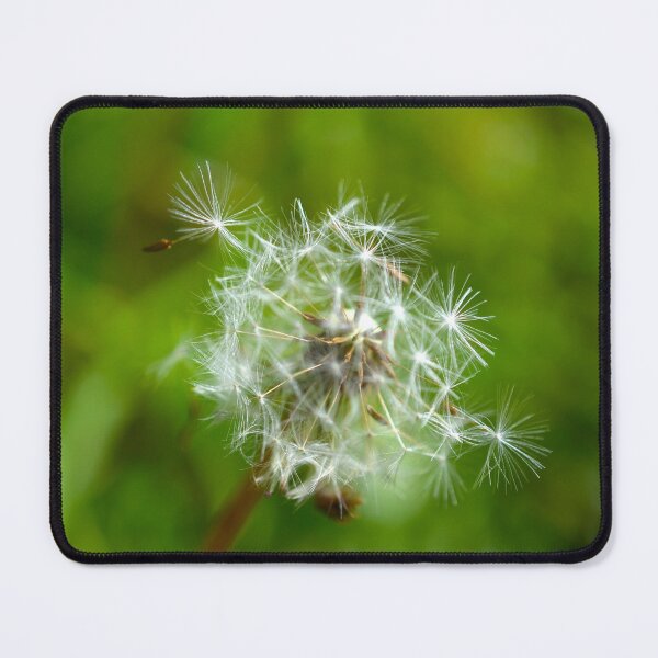 Item preview, Picture of the pappus of a dandelion designed and sold by Elle Willers.