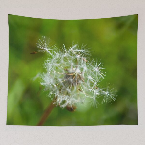 Item preview, Picture of the pappus of a dandelion  designed and sold by Elle Willers.