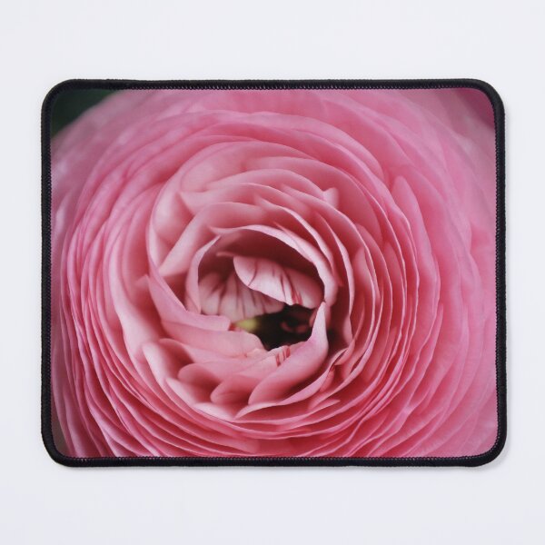 Item preview, Vibrant Pink Ranunculus Flower Macro designed and sold by MariaAteva.