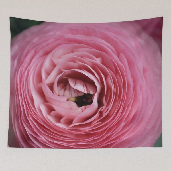 Item preview, Vibrant Pink Ranunculus Flower Macro designed and sold by MariaAteva.