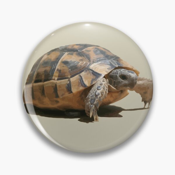 Item preview, Portrait of a Young Wild Tortoise Isolated designed and sold by taiche.